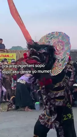 #kakdroto #joyodroto #satriomanggolomudho 