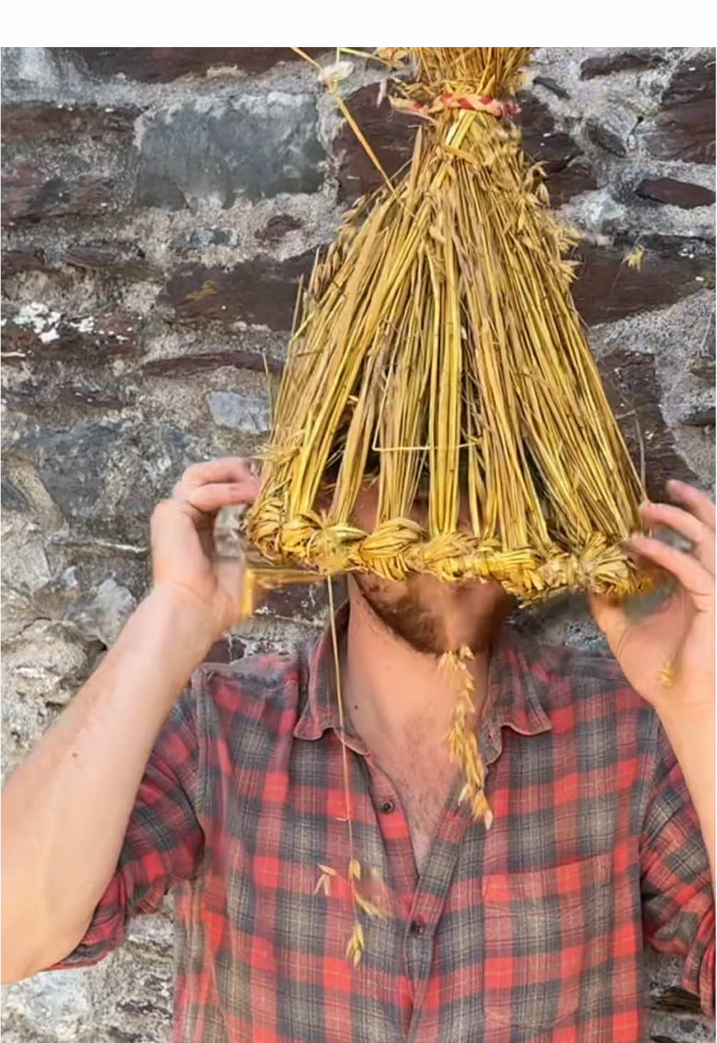 Wren Boys #tradition #wrenboys #folklore #heritage #straw     