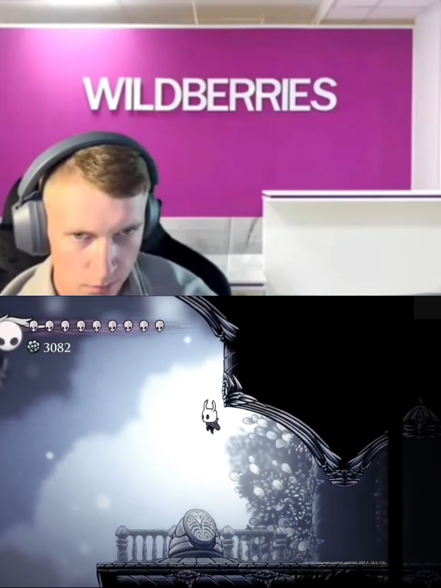 #вайлдберриз #вб #hollowknight #silksong #wildberries не мешайте ему