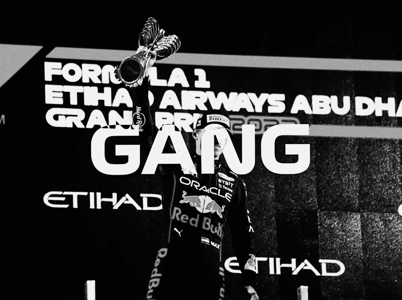 gnarly (max’s version) 😽 #maxverstappen #maxverstappenedit 