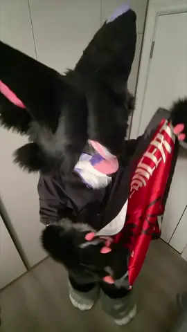 #furry 