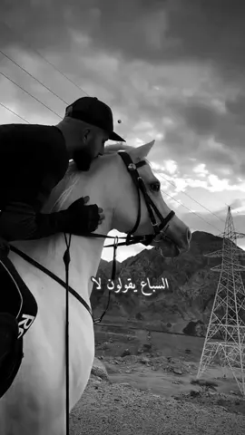 #اكسبلور #العاشق_الخيل🐎#عبارات #اقتباسات #خواطر 