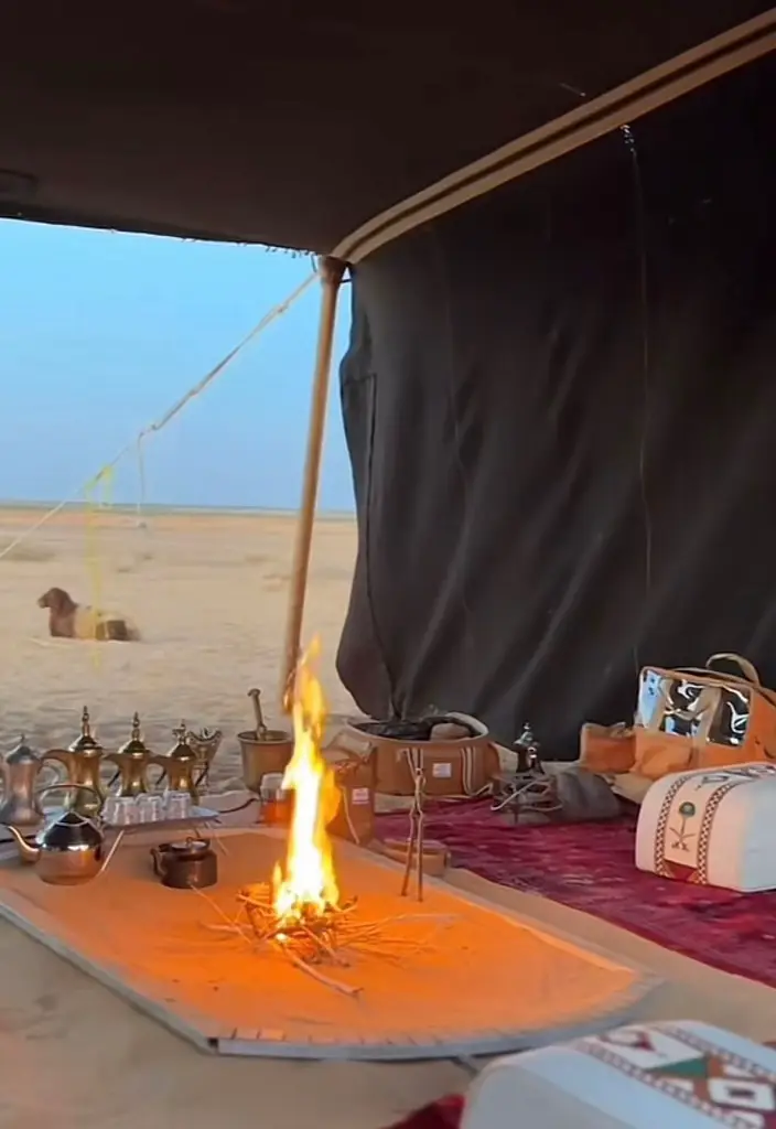 #اكسبلور 
