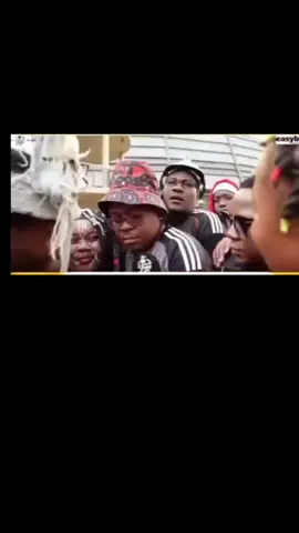 ong tlaba ka phiphi bra yaka 
