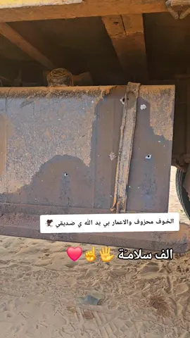 #كردافة_يا_رسول_الله_ورجااال_بلحيل #الشعب_الصيني_ماله_حل😂😂 