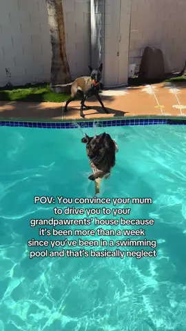 Finally some water😎🐾