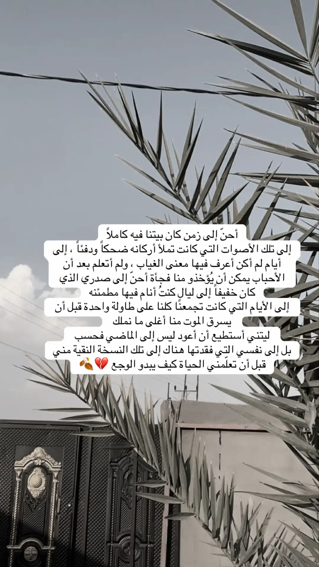 #ابوي #رحمك_الله #اكسبلورexplore💗💗 #مالي_خلق_احط_هاشتاقات #اكسلبورررررر 