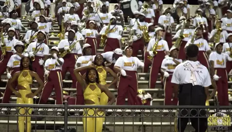 Serving us that pure GOLD ✨🤩 #marchingband #majorette #hbcu #hbcudance #dancers 