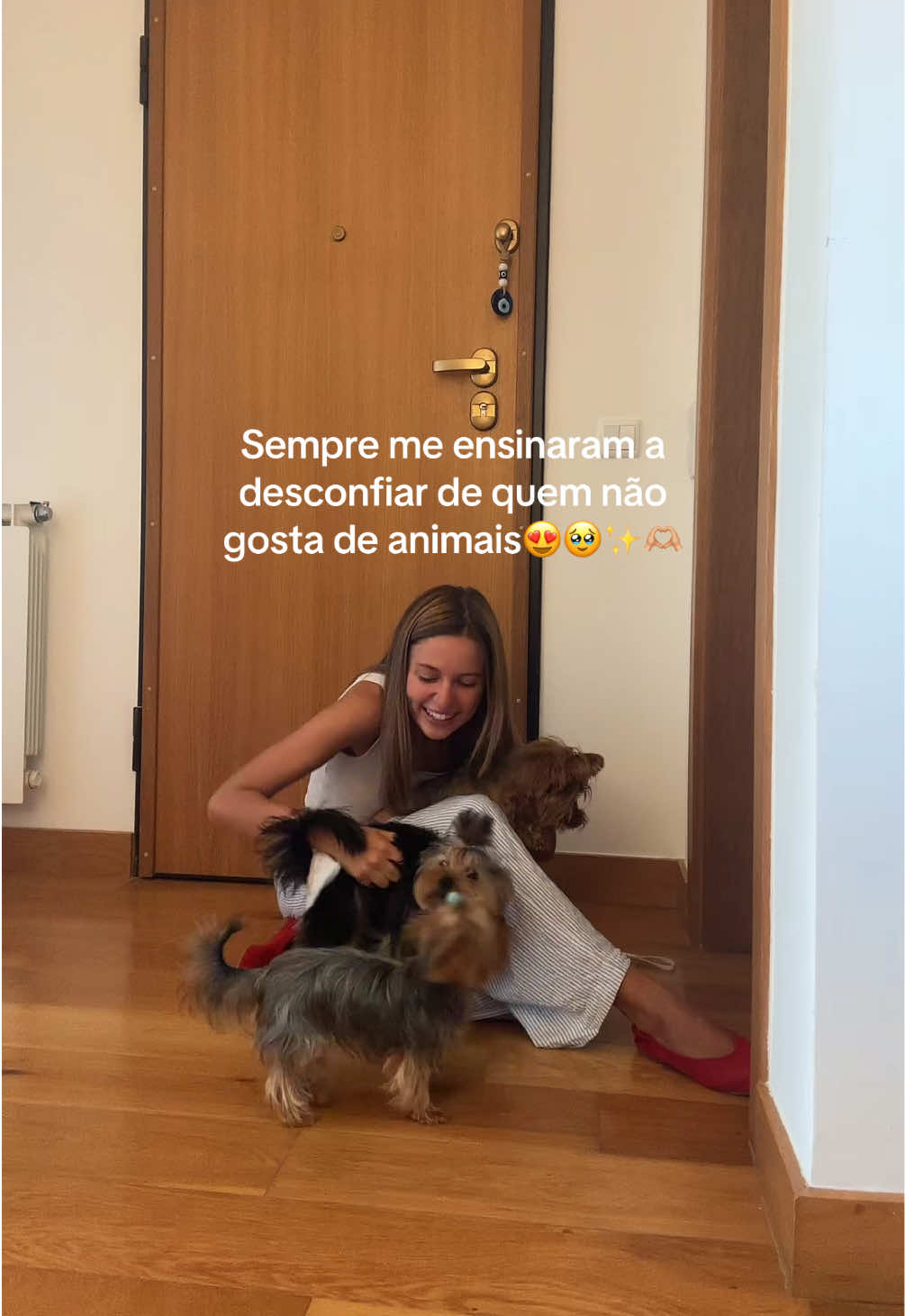 Eu sempre que chego a casa>>> as minhas yorkies ✨🥹