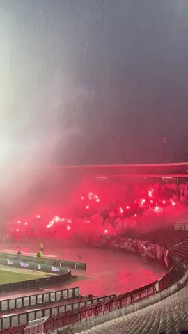 #foryoupage #fyp #crvenazvezda #crvenazvezdafk #rajkomitic ❤️🤍❗️