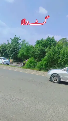 گٹ والا  #foryoupage❤️❤️ #pindawale #videoviral #tiktokviral 