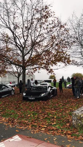 pirelli edition on some Michelins | #carspotting #viral #aventador #pirelliedition #lamborghini 