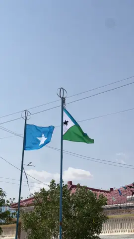 Cawaale iyo Calankii waqooyi Bari #xidig #laascaanod #ssckhaatumostate💙🐎🤍 #waqooyibari #viral 