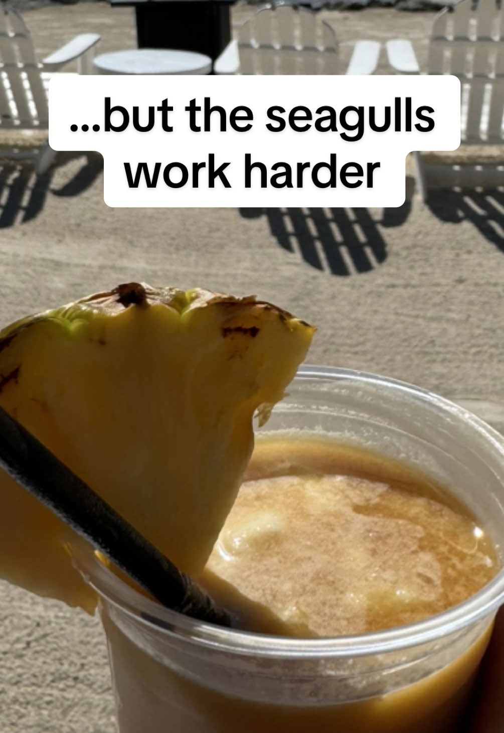 Didn’t even get to finish my garnish 🍍 #robbed #VacationFails #SeagullTok #rum #floridakeys #familytravel 