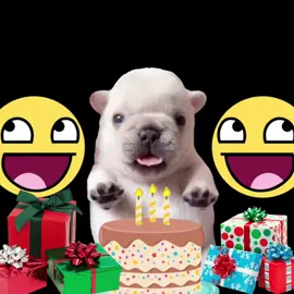 Pibble say happy birthday🥳🥳🥳🥳🥳🥳🥳🥳🥳🥳🥳||#cute#funny#fyp#pibble#fypシ゚viral 