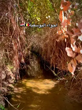 بس الو زايد النهر جان احله  ❤️‍🩹😍#اليوسفيه_ديار_العز🌱🌱 #تفاعلكم_حتى_أستمر #زمان💔📸 #بستان🍎🍒 #مليون_مشاهدة❤ 