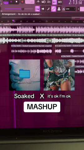 tates adlibs on this>>  HAPPY 1 YR OF ITS OK IM OK also sry for cutting the end of I get scared to do more than 1 minute of audio #tatemcrae #popmusic #mashup #itsokimok #editaudio 