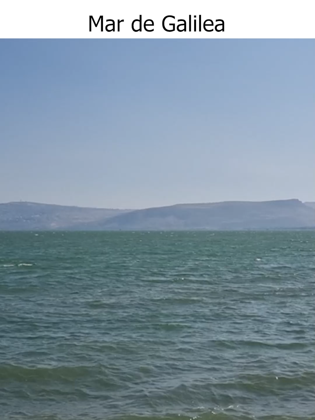🔵 VISITA EL VIDEO COMPLETO 🔵 Titulo del video: Mi Viaje a TIERRA SANTA en ISRAEL| Cota VLOG Disponible en YouTube: https://www.youtube.com/watch?v=kFleTfvF1po — #cotaparedes #obrasajenas #casas #arquitectura #arq #arquitecturaydiseño #architecture #architecturedesign #videosdearquitectura #arquitecturamx #consejosparaestudiantes #estudiantesdearquitectura