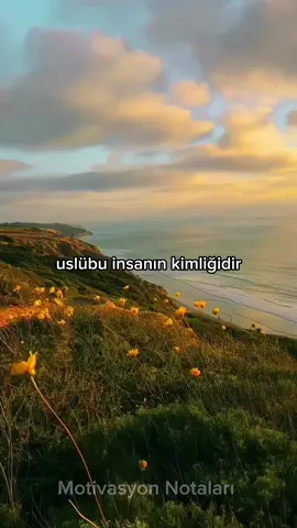 Üslup..  #motivasyon #motivasyonvideolari #anlamlıvideolar #keşfet #anlamlısözler 