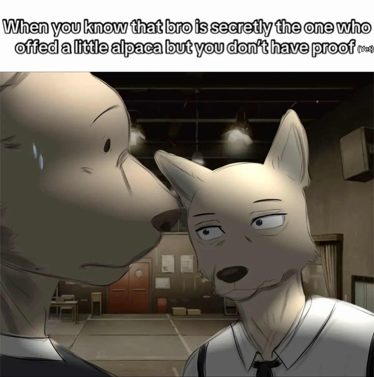 Idk what to post anymore. (Tried to copy the anime art style, and I think i cooked) #Beastars #beastarsanime #legoshi #beastars2 #beastarsmanga 