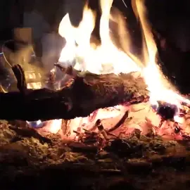 ريحه ضو