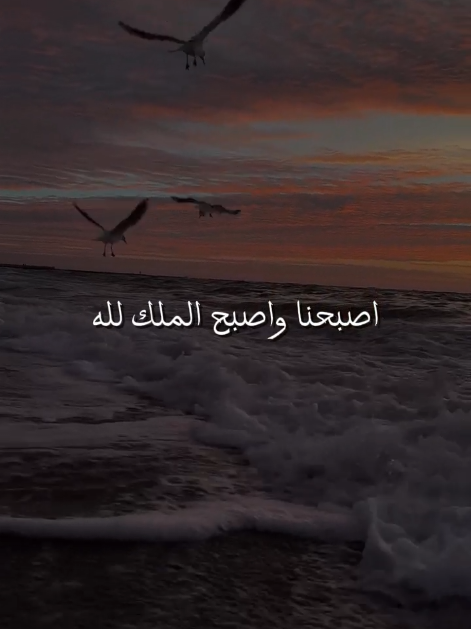 اصبحنا واصبح الملك لله والحمد لله #اللهم_امين_يارب_العالمين🍀 #اذكارالصباح #foryoupage #foryou #ادعيه 