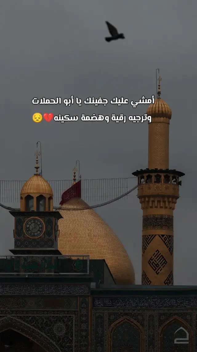 #كربلاء #السلام_عليك_يا_ابا_الفضل_العباس_ع #السلام_عليك_يااميرالمومنيين_علي #السلام_على_الحسين_و_على_اصحاب_الحسين #اهل_البيت_عليهم_سلام 
