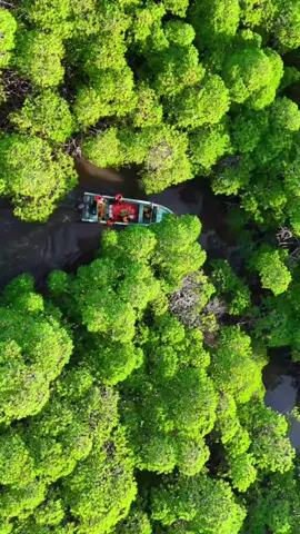 This is joore somalia 🇸🇴 no brazil #lagbadanabushbushlenationalpark #somalitiktok @geedisahan muqaalka quruxda badan waxa noso gudbiye wallaken geedi sahan. kadawo geedi sahan YouTube this amazing video #somalia🇸🇴 