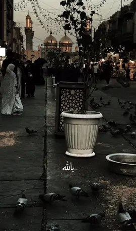 فَوضت امري الى الله