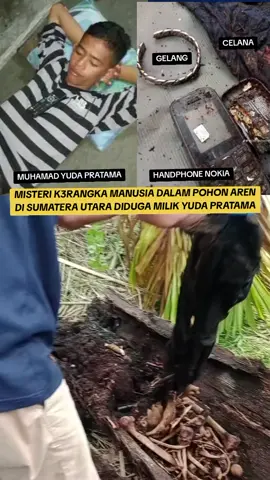 #muhamadyudapratama #pohonaren  #kerangka  #temukankerangkadalampohonaren #sumaterautara