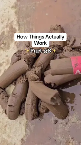 How Things Actually Work😳🌍 Credits: @DandelionMedicalAnimation (yt) #interesting #body #viral 