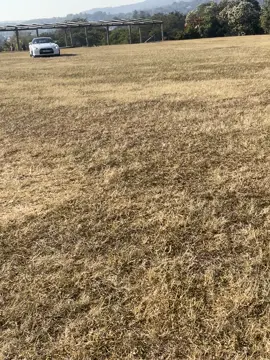 Godzilla😮‍💨🙏