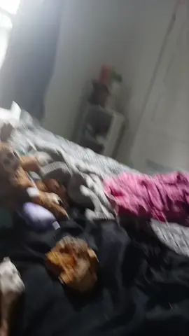 Blue just got scared 😱 