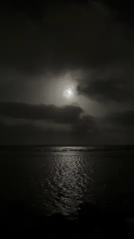 #هواجيس_لانهائية #اكسبلور 
