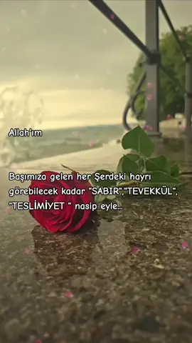 #aminyarabbim🤲🤲 