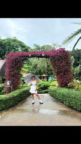 Sharing flowers with butterflies.  🦋 🌸🦋 #thailand🇹🇭 #travel #traveltiktok  #Lifestyle  #asia 