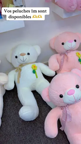 #royaleboutique1 #royalebox01 #peluchegeante #vue #amour 