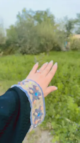 💚🌞🕶️☘️