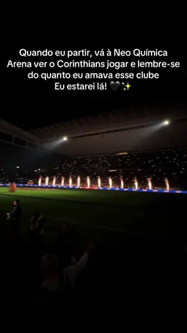 Eu te amo muito Corinthians. #corinthians #neoquimicaarena #corinthiansmeuamor 