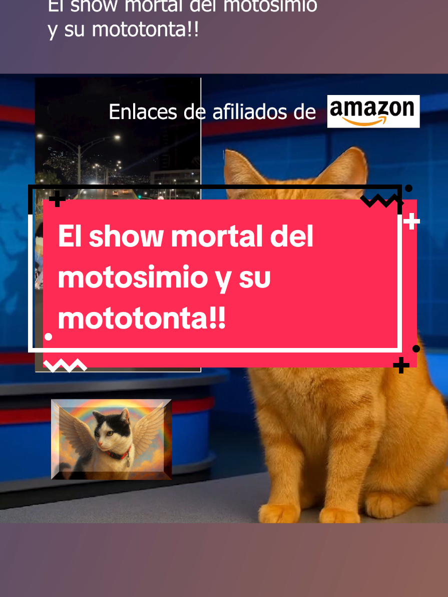 🚨🐒 Atención mis michismosos, porque hoy traemos a un verdadero espécimen de zoológico urbano: el motosimio volador, alias “el Tarzán de las avenidas”. Este genio de la vida decidió que los carros, buses y peatones eran parte del videojuego de su cabeza y salió a hacer piruetas como si estuviera en el Circo del Sol… pero versión barrio bajo. Y claro, ¿qué sería de un motosimio sin su mototonta de confianza? Esa copilota que va feliz de la vida, creyendo que va en un desfile de reinas, mientras arriesga el pellejo con el macho alfa que confunde adrenalina con estupidez. Porque obvio, él es “el superman de la moto prestada” (prestada… sin que el dueño lo sepa). Y ella, con sonrisa de emoji enamorado, pensando que ahí va el padre de su bendición… aunque todos sabemos que el día que la noticia llegue, el motosimio saldrá corriendo más rápido que en la misma moto. Lo más triste es imaginar a la mamá de la mototonta en la casa, con el rosario en la mano, la oración en la boca y la lágrima en el ojo, pidiéndole a la Virgencita que la hija no termine estampada contra un TransMilenio. Si lo agarra la policía, seguramente su declaración oficial sería algo así: 👉 “Yo motosimio… robar moto… hacer piruetas estúpidas… coger hembra… pegarle en la cabeza con un mazo… mototonta mojarse… ningún tombo poder conmigo… a motosimio gustarle hacerse mierda!!” 💥 Punch line: Y mientras ellos se creen estrellas de acción, la realidad es que son un peligro rodante. Porque lo que empieza como circo callejero termina en tragedia real para todos los actores viales. Así que michismosos: reírnos sí, pero normalizar estas bestialidades jamás. 🚫🛵💀 #Motosimio #Mototonta #DenunciaCiudadana #ChismeVenenoso #ElGatoChismoso @Alcaldía De Bogotá @!! noticias Bogotá !! @caracoltv 