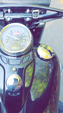 #harleydavidson #fyp 