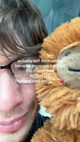 like how could you not wanna adopt him right away 😭 #highlandcow #stuffedanimal #weightedplush #weightedstuffedanimal #tiktokshopcreatorpicks 