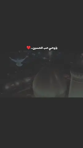 #سيد_سلام_الحسيني  #سيد_مهدي_البكاء  #مضيف_قمر_بني_هاشم  #ياحسين  #اللهم_عجل_لوليك_الفرج 