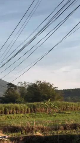 Gunung fuji tapi yang versi indonesia😍#lumajang24jam #pronojiwo #gunungsemeru 