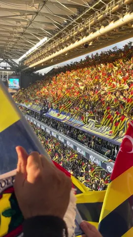 Bu güzellik gözlerimi kamaştırıyor 💛💙🧿🫶 #fenerbahçe #kadıköy #1907 