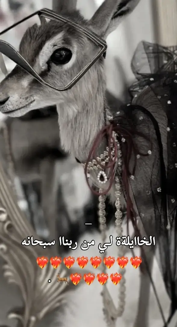 #صوب_خليل_خلق_للجمله🎶❤🔥💔💔✅ #شتاوي_وغناوي_علم_ع_الفاهق❤🔥🥺 #شعب_الصيني_ماله_حل😂😂 #fyyyyyyyyyyyyyyyyd#ليبيا🇱🇾 