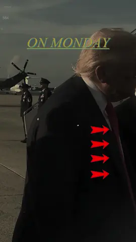 #trump #trumpsupporter #president #presidenttrump #trumpvance 