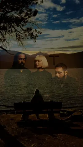 🎙Sia ft Post Malone ft Damian Marley 🎶 i Will Find You in the Next Life
