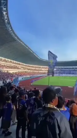 psis selamanya💙💙💙 #fyppppppppppppppppppppppp #semarangfens #panserbiru  #psissemarang #storypsis 
