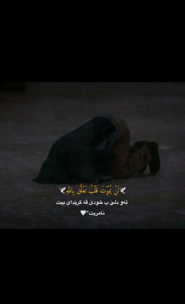 ئه و دلئ ب خودئ ڤه گريدا ى بيت نامريت🥺💔🥀 #الحمدلله_على_كل_حال 